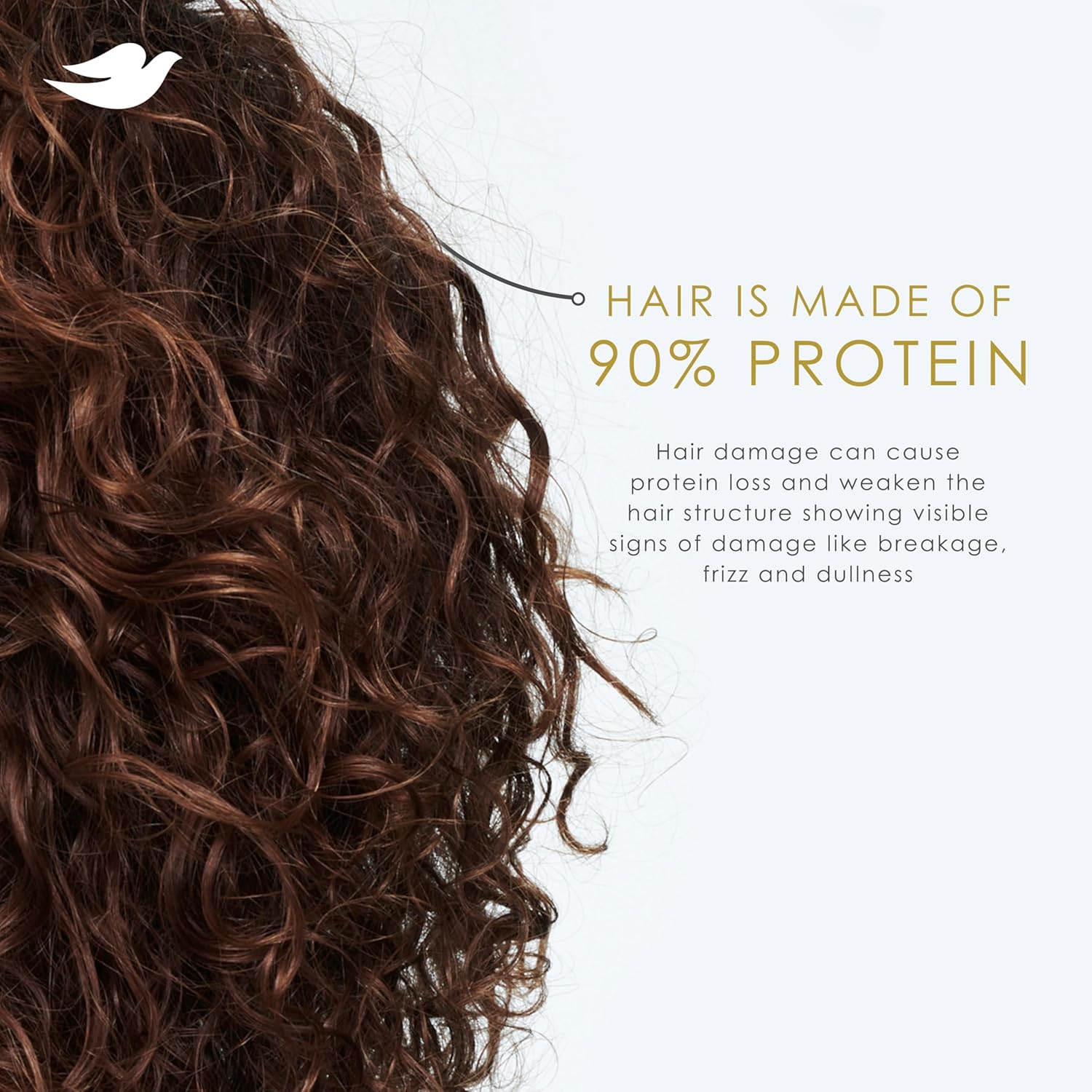 Dove Conditioner Coconut & Hydration for Dry Hair with Bio-Protein Care Technology and Coconut Oil 28 Fl Oz - Image 11